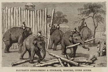 Elephants demolishing a Stockade, Wontho, Upper Burma